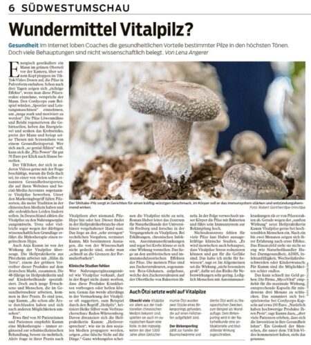  Mykotherapie & Vitalpilze in Pforzheim – Sanfte Naturheilkunde für Gesundheit & Wohlbefinden